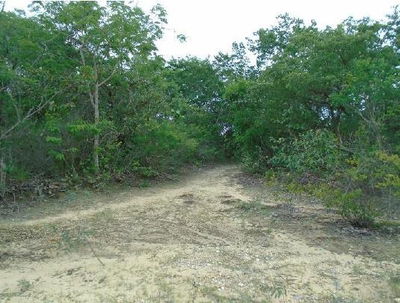 Terreno Rural Desocupado em Cristália/MG - 60,77 hectares