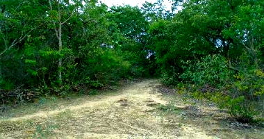 Terreno Rural Desocupado em Cristália/MG - 60,77 hectares