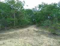 Terreno Rural em Cristália/MG - 60,77 hectares