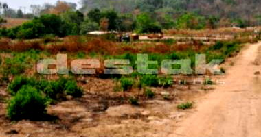 Terreno rural 2.000 m² com ótima localização e acesso facilitado