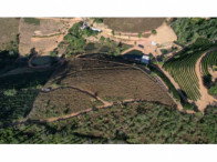 Chácara rural com 33.000m², ideal para cultivo de café
