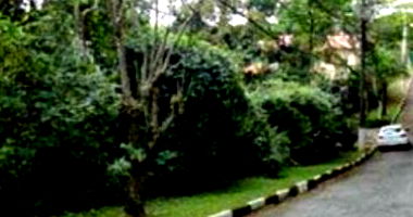 Espaçoso Terreno de 1014m² em Área Verde - Ideal para Desenvolvimento