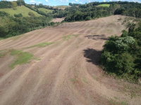 Terreno rural 123.333m² em Viadutos/RS com acesso e área de plantio