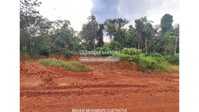 Lote Rural em Ipiranga do Norte - MT