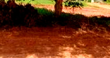 Terreno em Águas de Santa Bárbara - 432,60m²