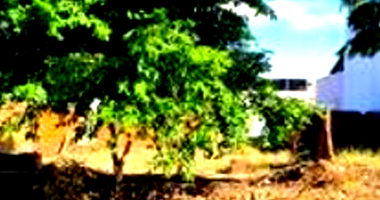 Imóvel Urbano com Área Total de 250,51 m² em Umuarama-PR