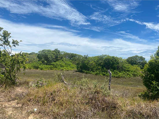 Terreno em Itaporanga D'ajuda SE - Lote 30 da Quadra 68