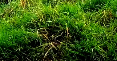 Terreno em Loteamento com 175m² em Suzano/SP