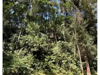 Terreno em Condomínio com 561,26m² em Itapevi/SP