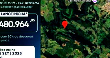 Área Rural de 298.300m² em Ponte Serrada - Terreno amplo e ideal para investimento