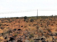 Fazenda Serra Dourada IV - MT: 6.238,91 hectares