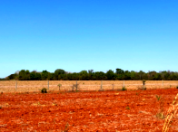 Fazenda São Bento - 522,32 hectares com benfeitorias