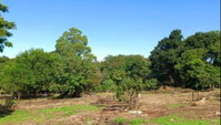 Terreno com 385m² em Jardim Santa Luzia III