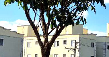 Apartamento 45.95m², 2 quartos, 1 vaga