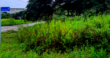 Direitos de Terreno com 300m² em Gravatá/PE