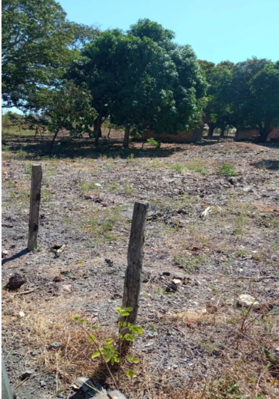 Chácara em Cristalândia - TO com 4,30 hectares