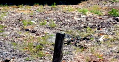 Chácara em Cristalândia - TO com 4,30 hectares