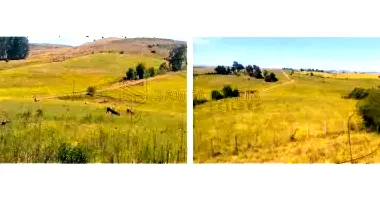 Terreno Rural com 50,4471ha em Alegrete/RS