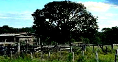 Gleba de terras com 146ha e 8.635m² em Rio Verde/MS