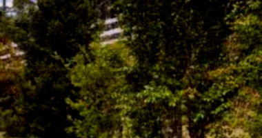 Chácara com 7,26 hectares em Cunha/SP