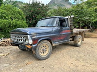 FORD/F1000S 1989/1989 - Cinza Diesel