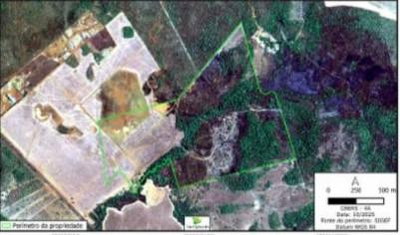 Gleba Rural 131ha Porto Nacional/TO - Oportunidade Única