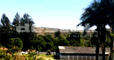 Fazenda Taquaral em Perdizes/MG