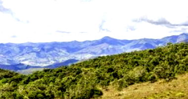 Imóvel Rural com 153,33 Hectares em Nova Roma/GO