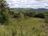Fazenda 467ha em Lages - SC