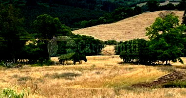 Terreno Rural com Residência em Soledade/RS