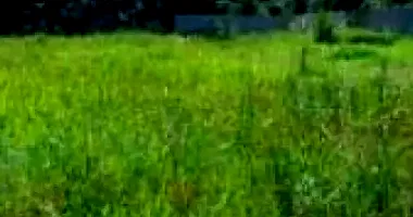 Terreno Amplo em Lapa/PR com 1.500m²