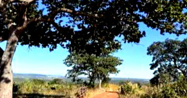 Fazenda Rural em Ivolândia - GO com 1.594.552 m²