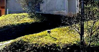 Casa com 3 quartos em São Bento do Sul/SC