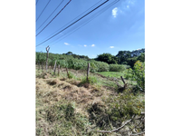 Terreno com 2.950m² em São Roque/SP - Área de Preservação