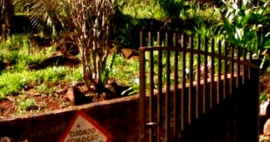 Casa com 1.771m² em Toledo/PR