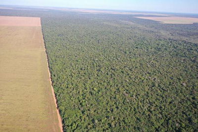 Terreno Rural Desocupado com 501,23 hectares em Gaúcha do Norte