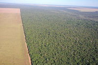 Terreno Rural com 501,23 hectares em Gaúcha do Norte/MT