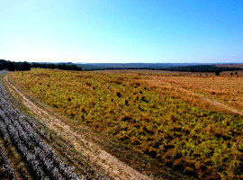 Lote de terras com 150,00ha - Fazenda Novo Horizonte