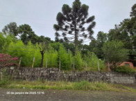 Terreno de 730,80m² na Rua Fernando Ferrari, 374