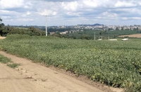 Gleba Rural com Casa de 70m² em Reserva-PR