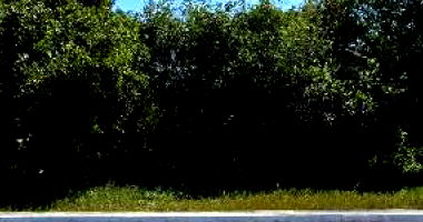 Terreno de 600m² em Ponta Negra, Manaus