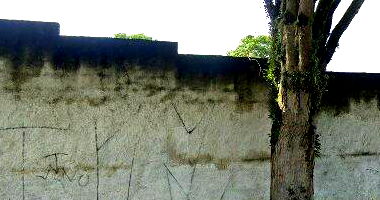 Casa com 137,50m² e amplo terreno de 7.149,50m²