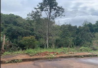 Lote em Igarap/MG com 405 m² em área de preservação