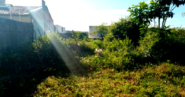Terreno Residencial em Nossa Senhora do Socorro