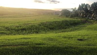 Terreno Amplo em Sertanópolis com 1400m²