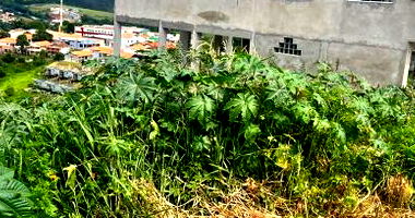 Imóvel Urbano com 375m² em Tomazina/PR