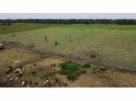 Grande Fazenda com 4.011,6256 hectares em Calçoene/AP