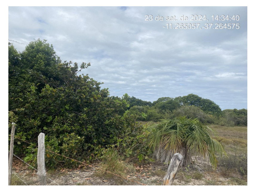 Terreno de 300m² em Loteamento à Venda em Leilão