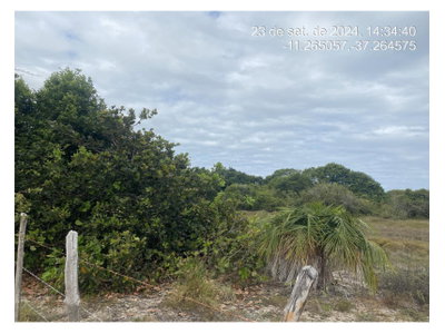 Terreno de 300m² em Loteamento à Venda em Leilão