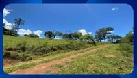 Imóvel Rural com 150 hectares em Aliança/PE